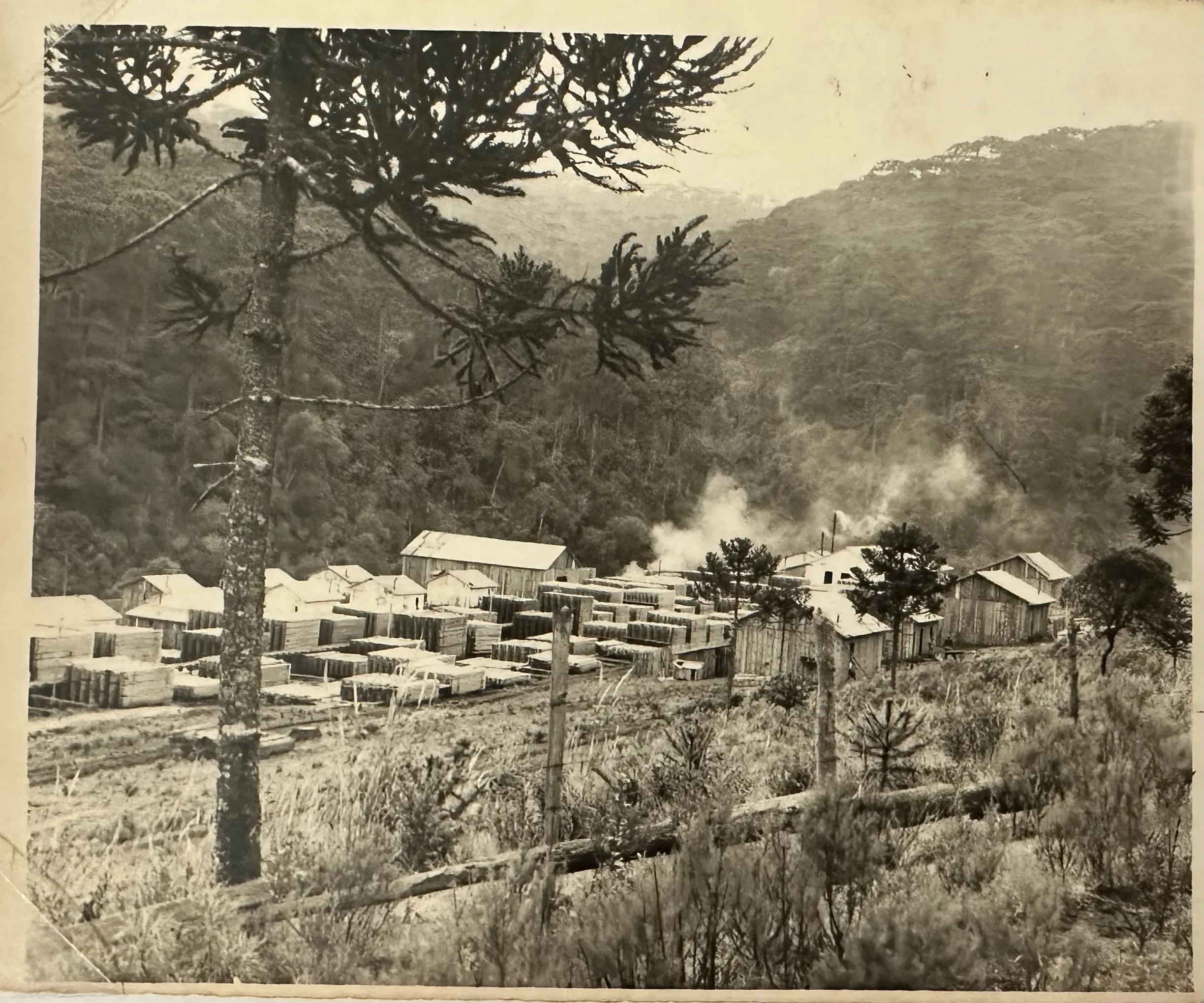 história-segurança-qualidade-construção-pre moldada-pre fabricada-confiança-melhor concreto